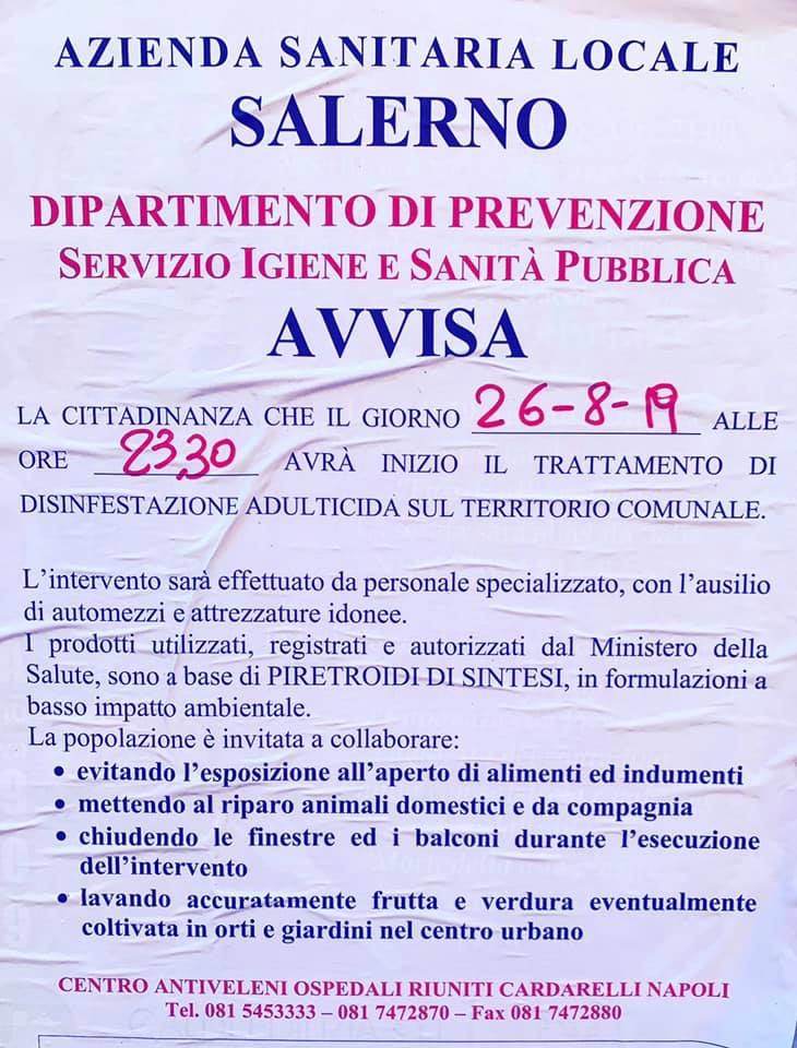 Disinfestazione adulticida 