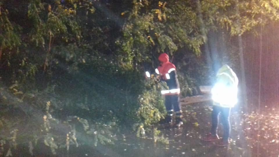 Scuole regolarmente aperte