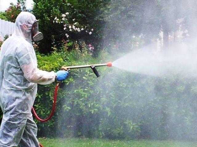 Completamento interventi di sanificazione 