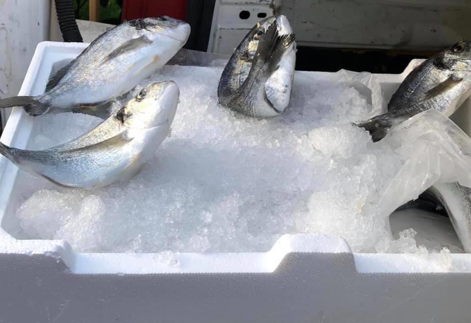 Distribuzione pacchi Banco Alimentare