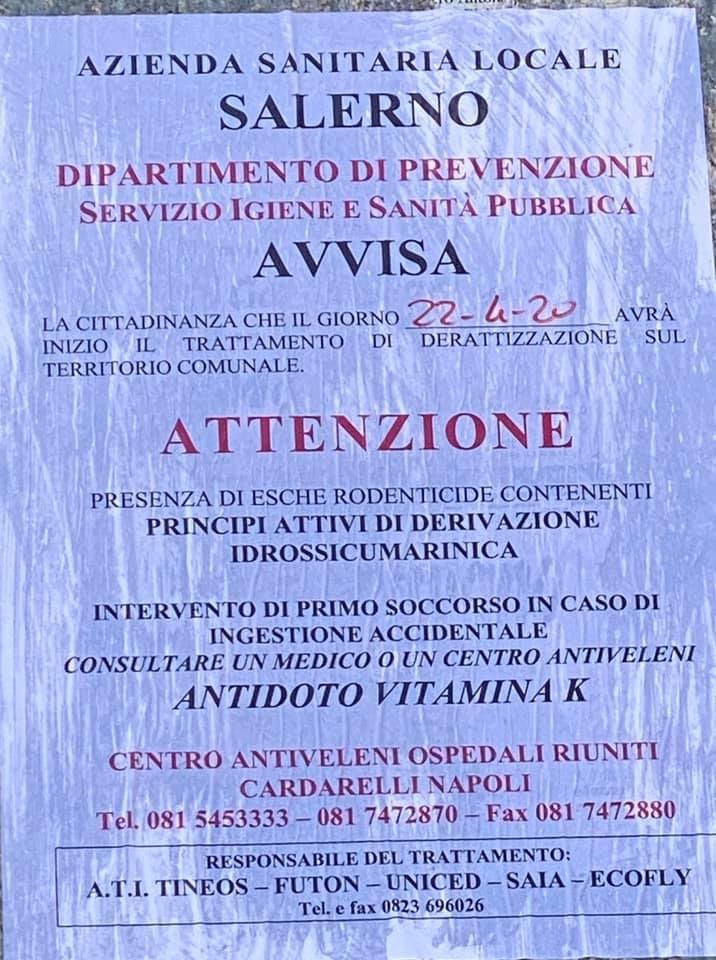 Interventi di derattizzazione