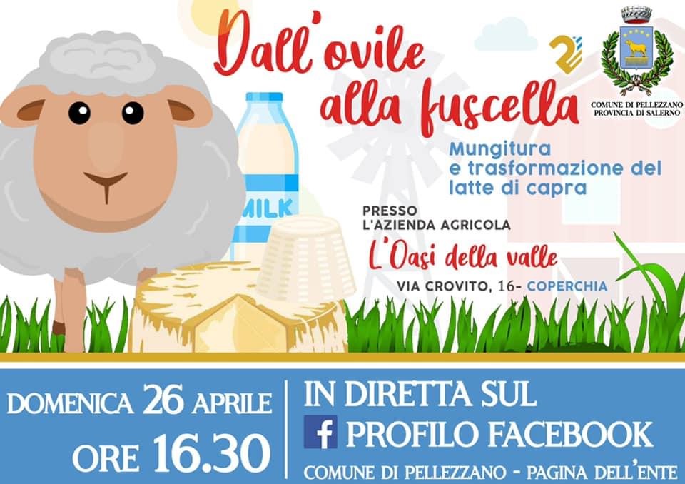 “Dall’ovile alla fuscella” in diretta 