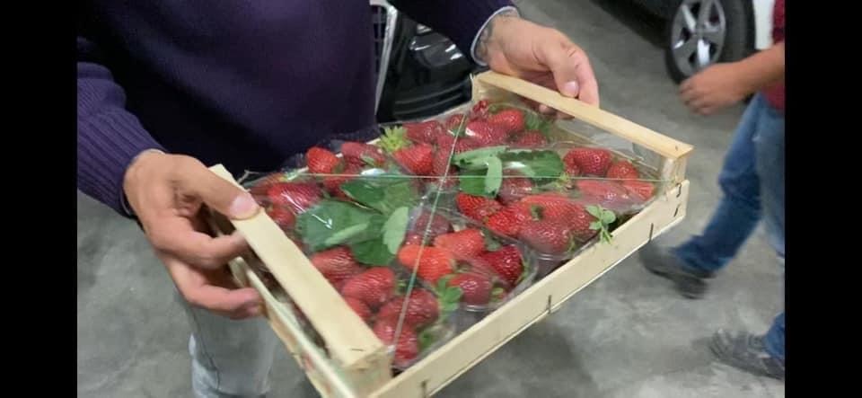 Distribuiti altri aiuti alimentari 