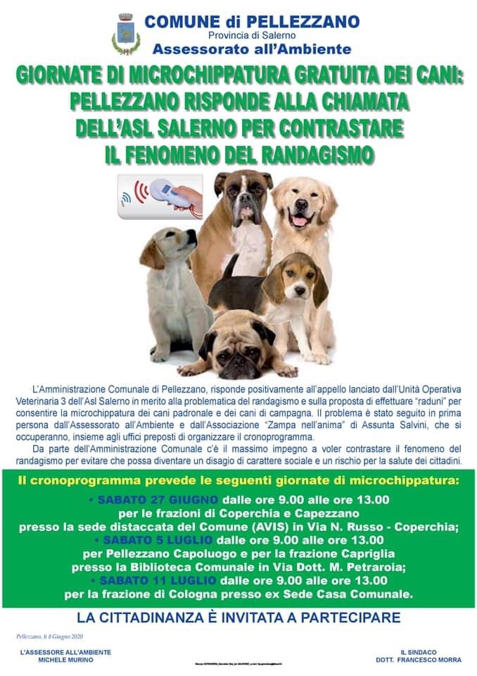 Giornata di microchippatura gratuita dei cani