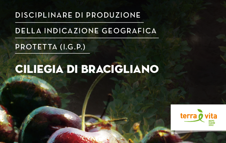 Richiesta di riconoscimento I.G.P. per la Ciliegia di Bracigliano