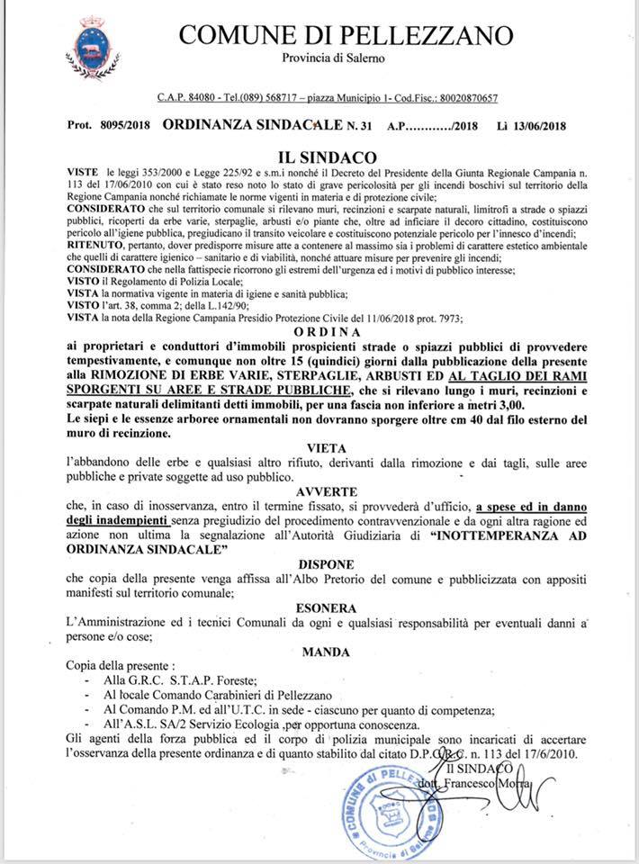 Manutenzione e pulizia straordinaria Via Nofilo