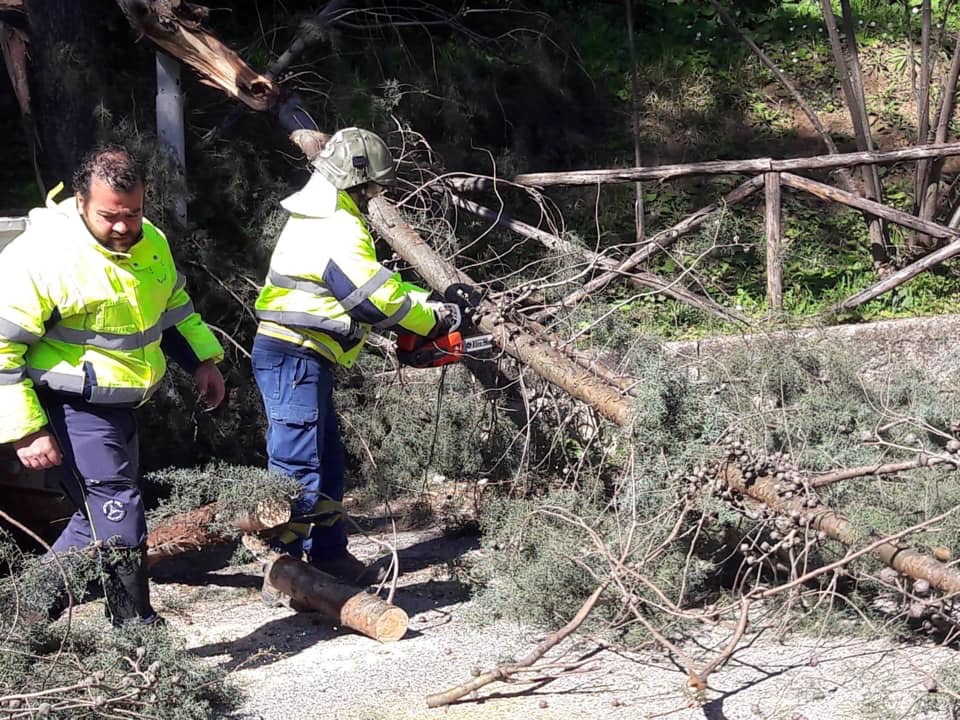 Interventi di messa in sicurezza per il forte vento