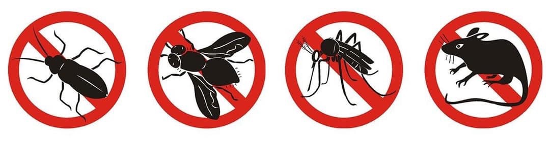 Disinfestazione e derattizzazione