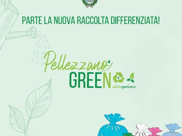 Raccolta differenziata: oggi si conferiscono organico ed esigenze speciali 
