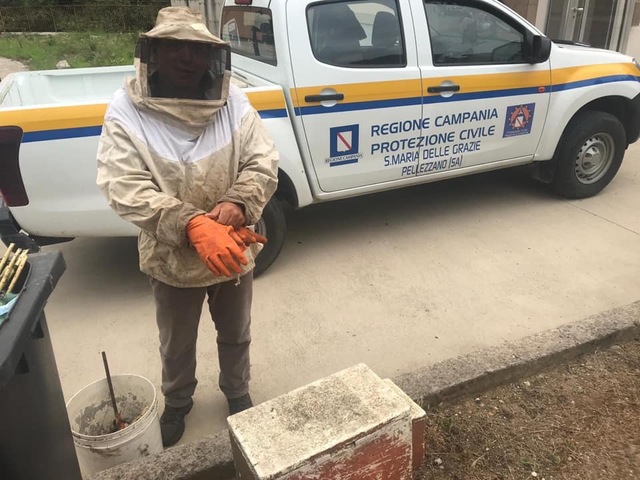 Un enorme nido di api nel cimitero di Pellezzano, interviene la Protezione Civile S. Maria delle Grazie e l'apicoltore